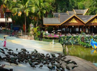 “七彩云南·媒荐海外”全球华文媒体联盟中国行走进西双版纳