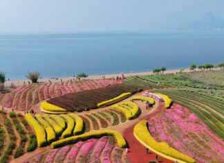清湖映古村:抚仙湖与马房村的旅居吸引力