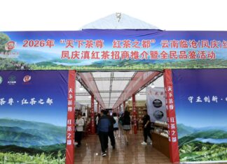 “天下茶尊·红茶之都”2026云南临沧凤庆红茶节开幕