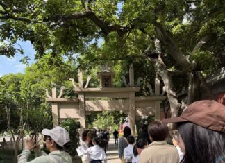 “侨见吴越·跟着《太平年》看杭州”海外华文媒体杭州行启动